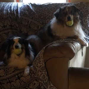 Meet your Posher, Abbie